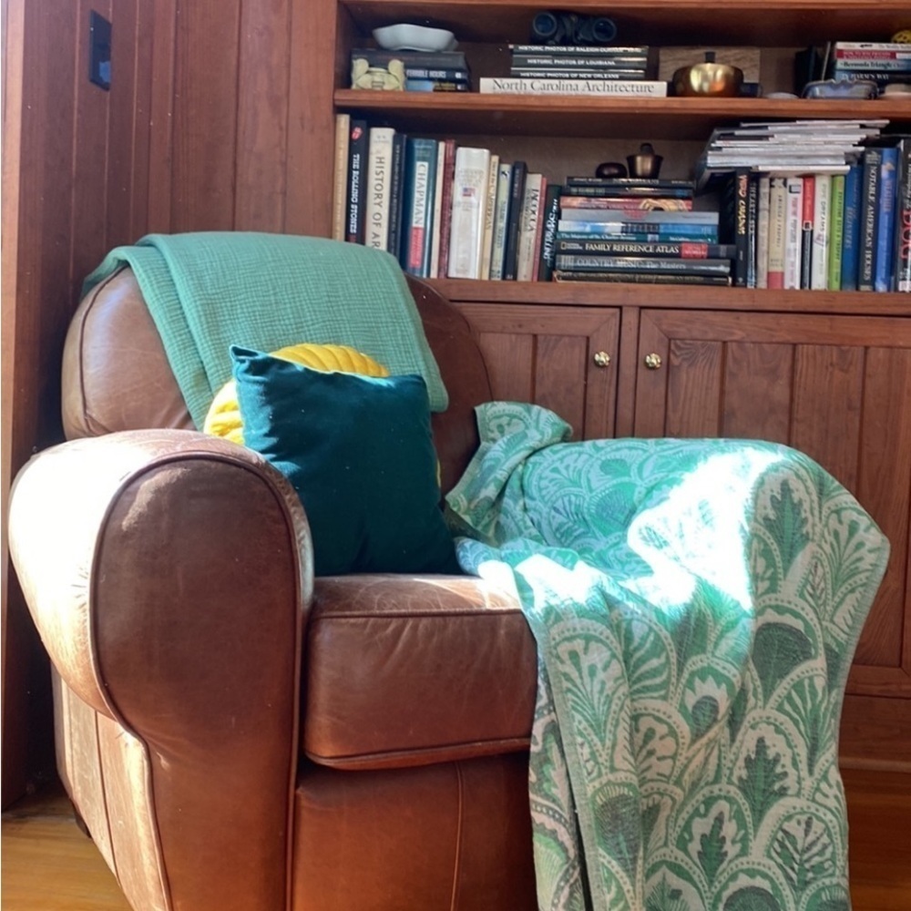 Succulents Blue Woven Organic Cotton 2-in-1 Blanket Wrap Anthropologie Holiday - Picture 11 of 17